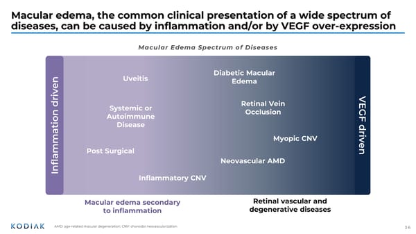 Interactive Corporate Presentation [COPY] - Page 35